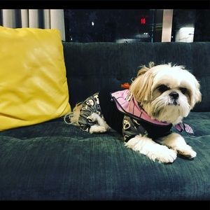 Meet your Posher, Jen